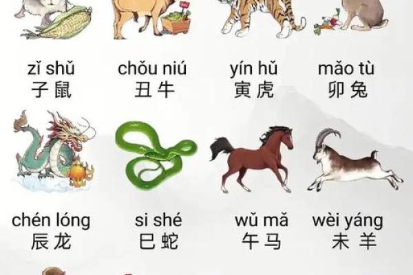 1972年出生的生肖鼠在2025年幸运色和禁忌色分别是什么？