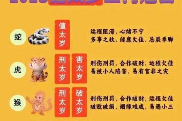 2021是什么属相(2021是什么属相犯太岁呢)