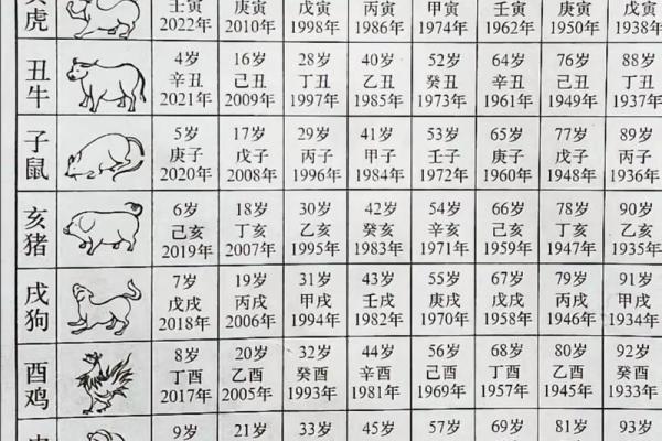 壬戌年属什么生肖 壬戌年是什么生肖