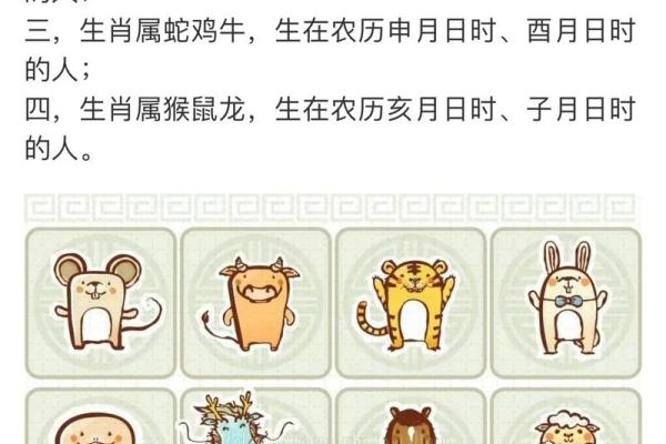 已时属于什么属相 已时属什么意思