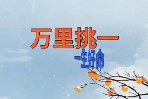 万里挑一打一生肖