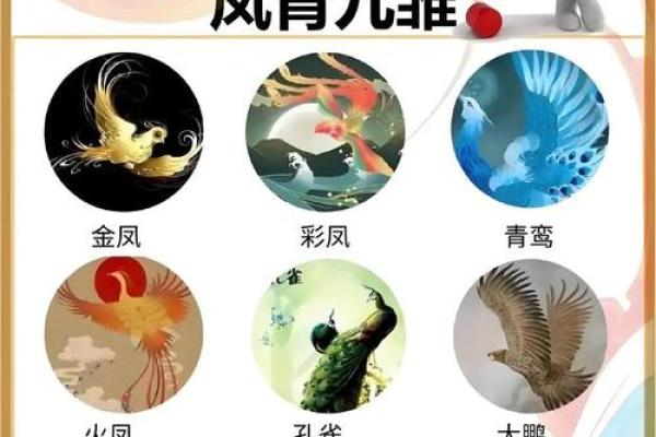 ‌龙翔凤翥是什么生肖 → 龙‌（龙飞九天，翥凤翔鸾）