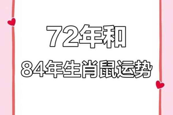 1984年出生的属鼠人婚姻运势详解，哪年结婚最好