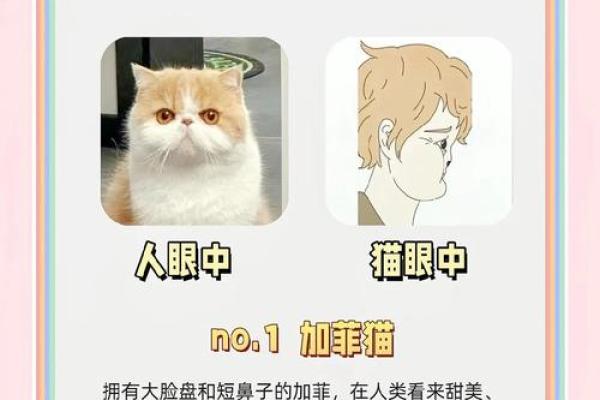 丑陋至极是什么生肖 丑陋至极是指什么动物