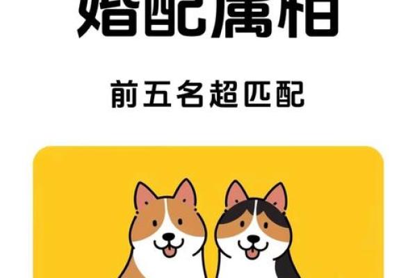 属狗与什么属相最不配,属狗人和什么属相最不合