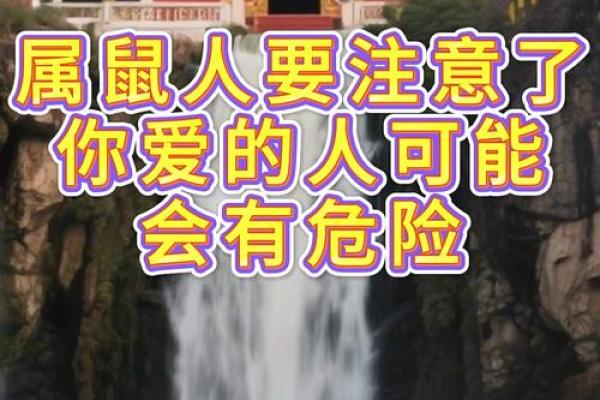 为什么说属鼠的人命运多舛，着种说法有科学依据吗？