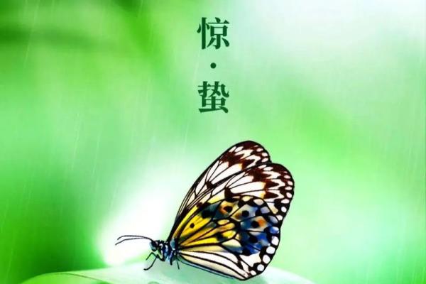 草长莺飞的季节里最适合带孩子观察哪些小动物和昆虫？