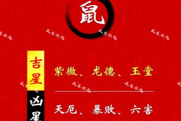 1984年出生属鼠男2025年事业财运健康感情全方位运势解析
