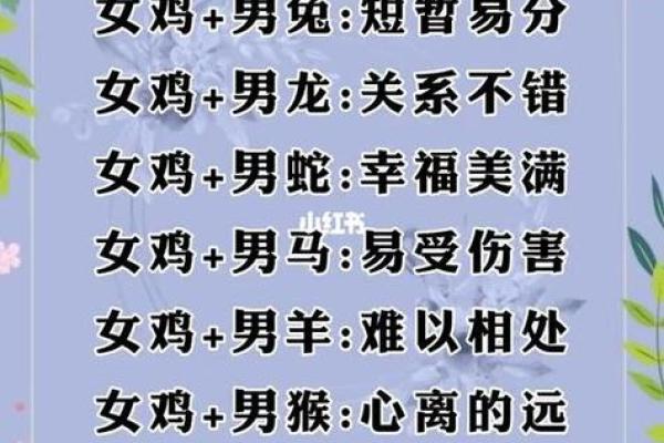 男鸡女龙的属相合不合 男鸡女龙的属相合不合财