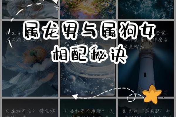 属狗男和属牛女能婚配吗 属狗男和属牛女能婚配吗好吗