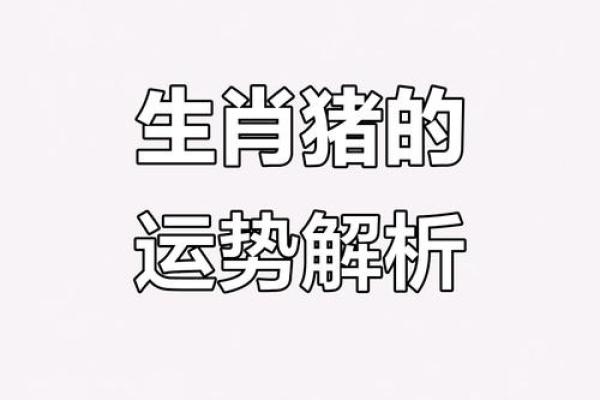 属猪一生三大劫难 属猪一生三大坎