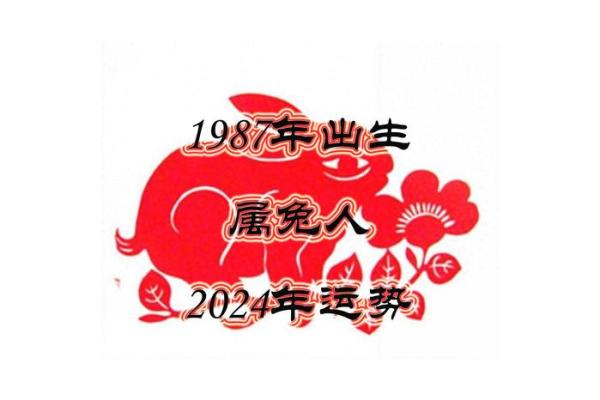 1987年属兔人2023年全年运势(1987年兔2025年运势) 1987年属兔人2023年全年运势(1987年兔2025年运势)