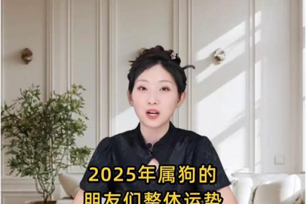属狗的人2025年每月运程如何?需要注意哪些重要事项? 属狗的人2025年每月运程如何?需要注意哪些重要事项?