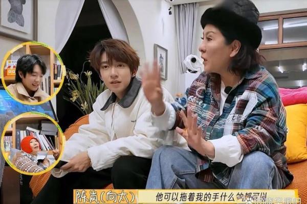 向太属什么属相 向太是什么意思