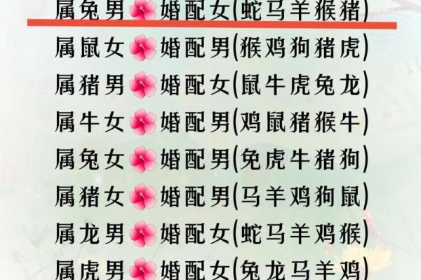 从性格角度分析，鼠男和马女的婚姻组合可能存在哪些挑战？