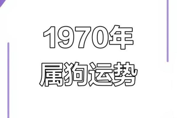 属狗2019年运势 属狗2019年运势及运程
