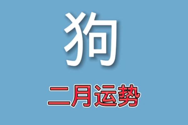 属狗2019年运势 属狗2019年运势及运程