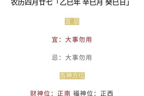 1996年出生的生肖鼠在2025年事业财运和感情健康运势如何