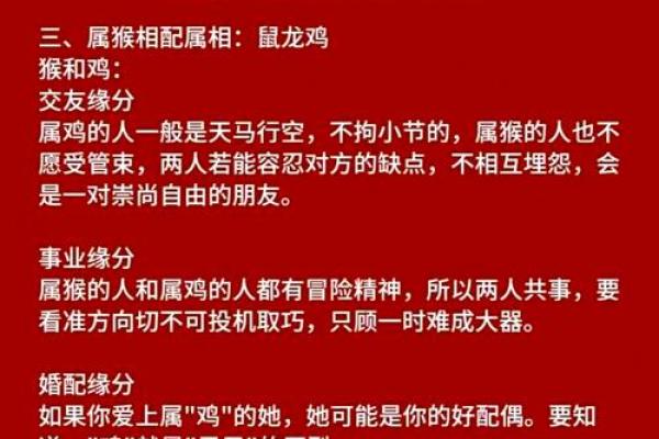 92年的属什么生肖配对最好 92年属什么生肖与什么配最好