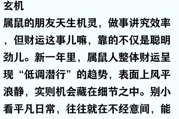 2025年属鼠人财运事业运势如何？有哪些需要注意的月份？