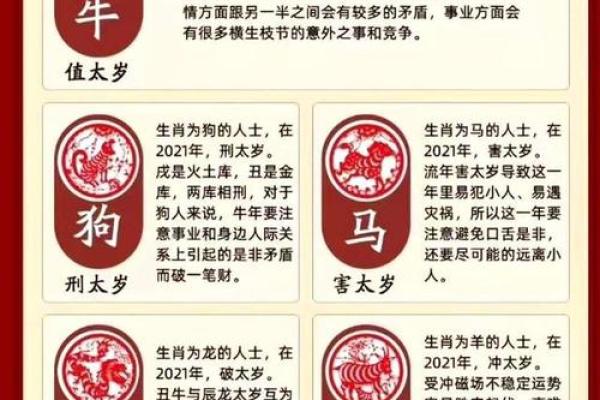 2012生肖运势(2021年2012生肖运)