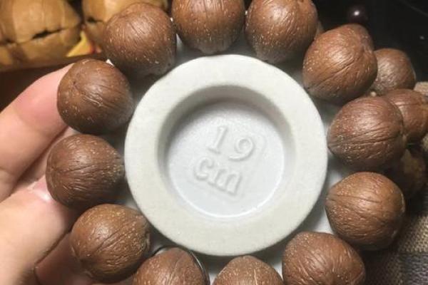 紫金鼠最忌三种属相 紫金鼠好吗
