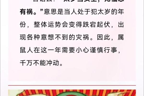 2025年属鼠人的全年运势详解，事业财运和健康需要注意什么？