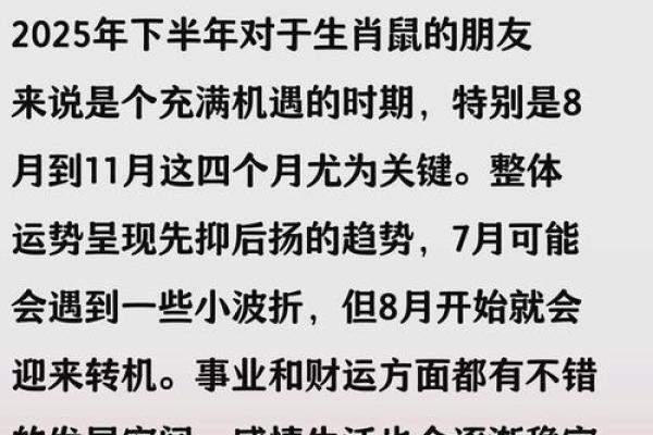 2025年属鼠人的全年运势详解，事业财运和健康需要注意什么？