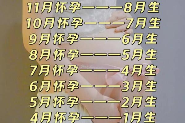 明年三月出生今年几月怀孕 明年三月生的孩子属于什么命