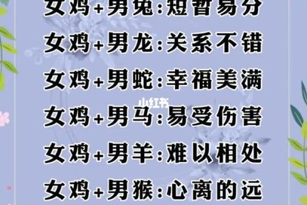 2005属鸡男最佳婚配表 2005年属鸡男最佳婚配属相
