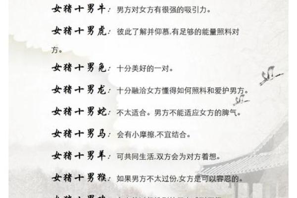 男鸡和女猪的属相合不合 男鸡和女猪的属相合不合结婚