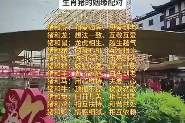 男鸡和女猪的属相合不合 男鸡和女猪的属相合不合结婚