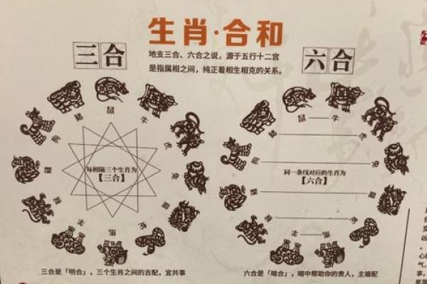 属蛇和属龙的合财吗 属蛇和属龙的合财吗婚姻