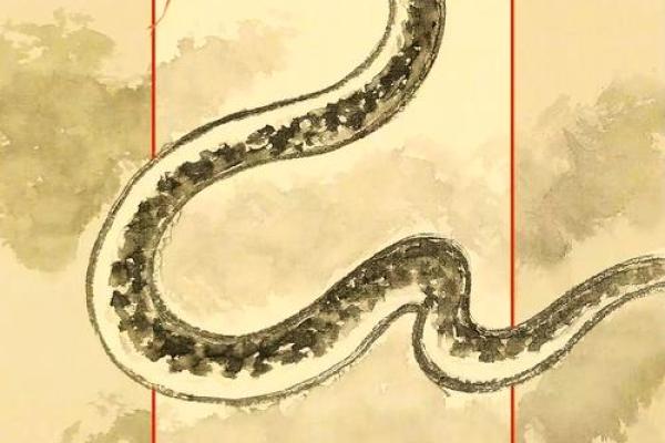 ‌称孤道寡打一生肖 → 蛇‌（伏羲人首蛇身，上古称孤）