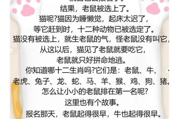 什么叫大生肖 什么叫生肖属日
