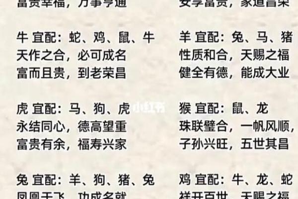 春花秋月最佳正确生肖
