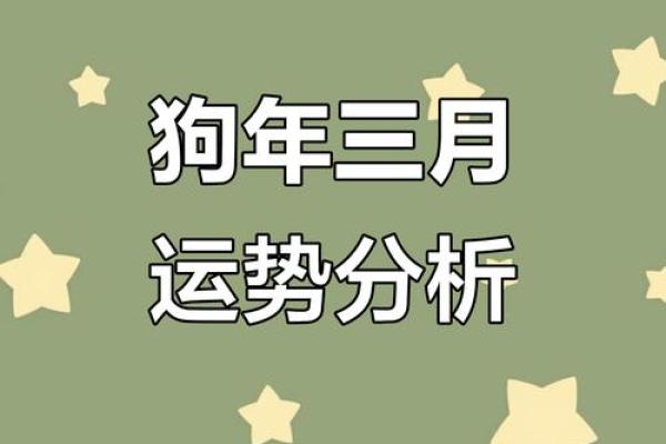 2025年属狗人的全年运势详解及每月运程预测