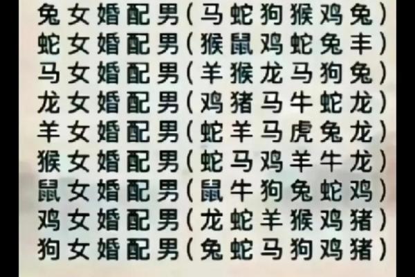 十二生肖属相婚配表 十二生肖属相婚配表最新版