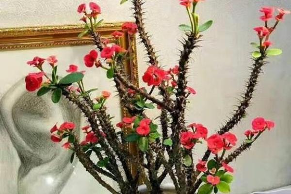 丁香花最忌三种属相 镇宅最灵的三种花