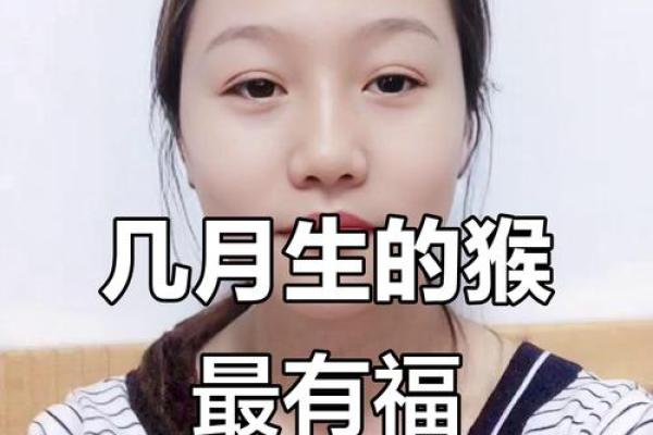 属猴的今年怀孕几月生男孩 属猴的怀孕最好的月份