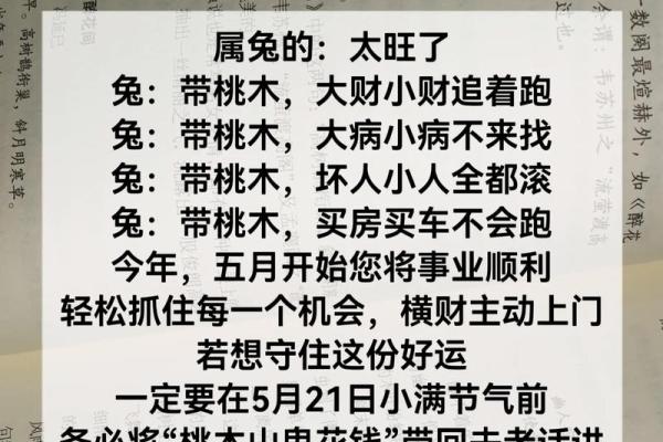 孩子属兔好吗,生孩子要不要忌讳属相