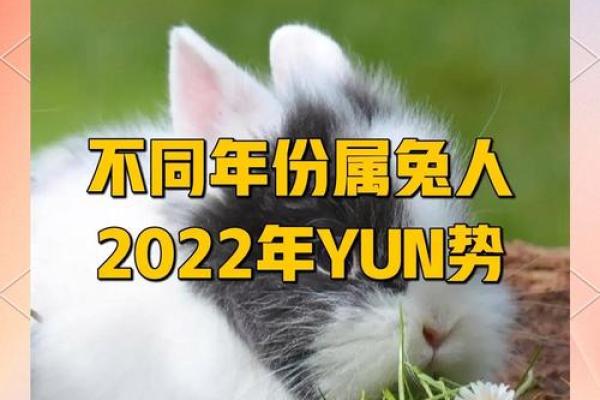 1属兔的人哪年出生 属兔的人哪年出生的