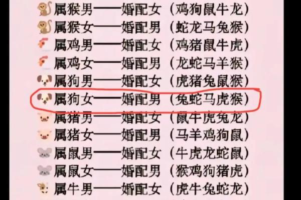 1996年出生的属鼠男性正缘在哪年，最佳婚配年份分析