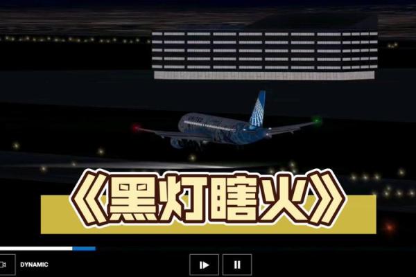 黑灯瞎火打一个生肖