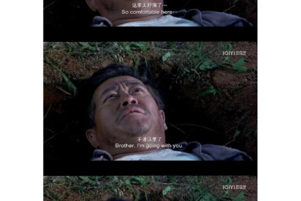 落叶归根打一生肖