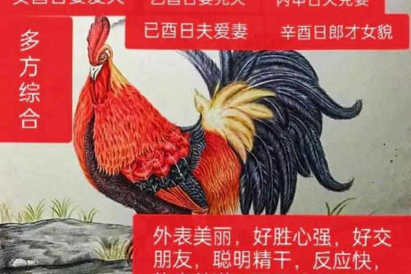 蛇马属相婚配好不好 马和鸡属相配婚姻如何