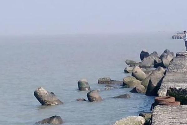 天水一色打一生肖的谜底解析及正确答案揭晓