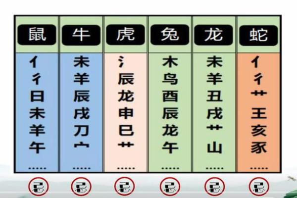 名字五格(名字五格总格属性怎么看)