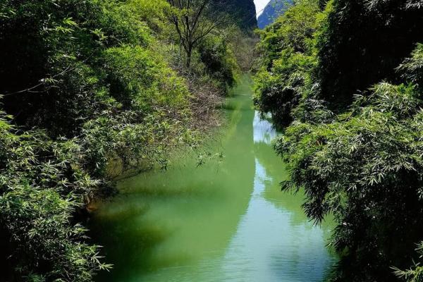 ‌山清水秀打一生肖 → 青（青龙盘山，水秀林幽）