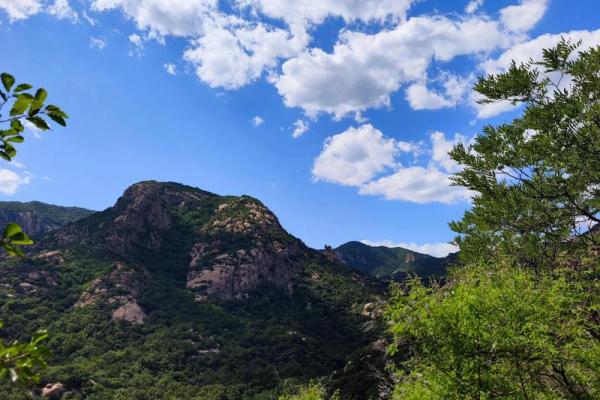 ‌山清水秀打一生肖 → 青（青龙盘山，水秀林幽）